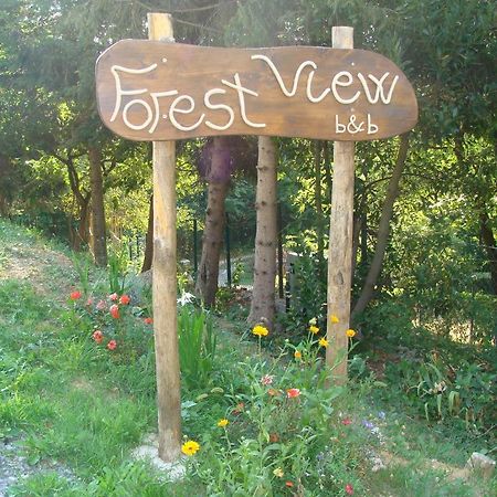 Forest View B&B Гави Екстериор снимка