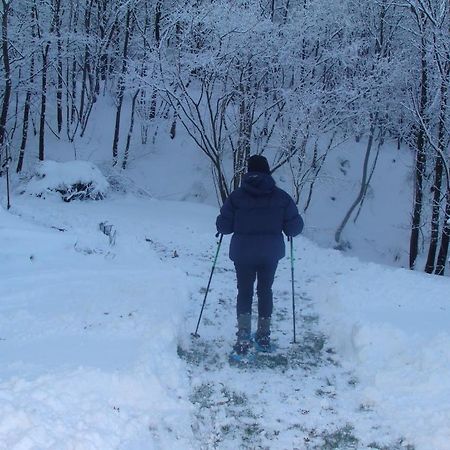 Forest View B&B Гави Екстериор снимка