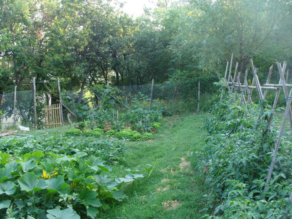 Forest View B&B Гави Екстериор снимка