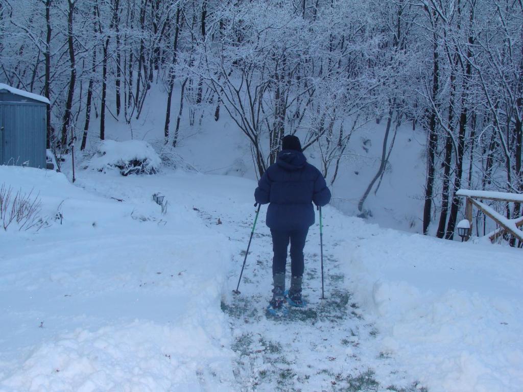 Forest View B&B Гави Екстериор снимка